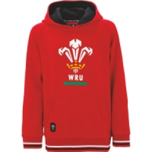 Childrens Wales Rugby Hoody £9.99