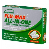 Poundland  Galpharm Flu Max All In One 16 Pack