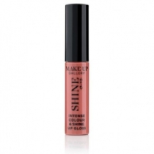 Poundland  Make Up Gallery Shine On Bold Lip Gloss Nice&nude