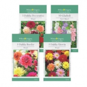 Poundland  Dahlia/gladioli Bulbs Assortment