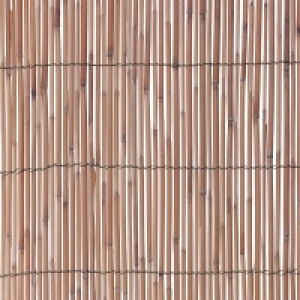 Reed Screening Panel 1 x 3m £5.99