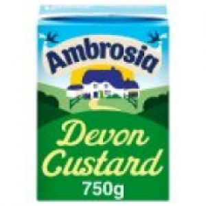 Asda Ambrosia Devon Custard Carton