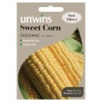 Asda Unwins Sweet Corn Goldcrest Seeds