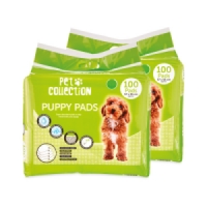 Puppy Pads 2 x 100 Pack