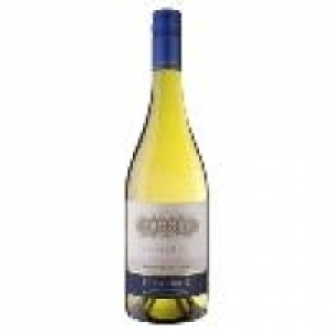 Errazuriz Sauvignon Blanc