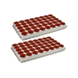 Seed & Cutting Tray 2 Pack Bundle