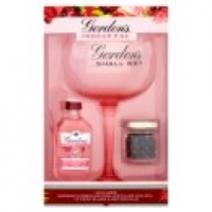 Gordons Premium Pink, Balloon Glass and Botanicals