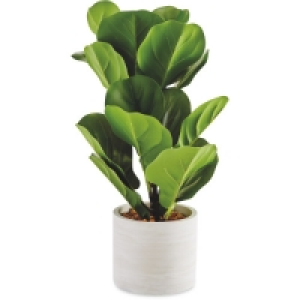 Aldi  Fiddle Leaf Artificial Plant