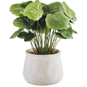 Dollar Leaf Artificial Plant