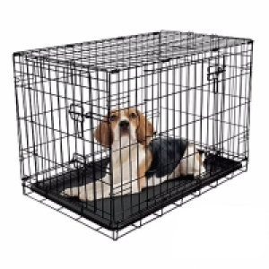 QDStores  RAC Fold Flat Metal Pet Crate Travel Carrier Medium