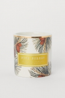 HM   Scented candle in holder