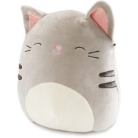Aldi  Cuddly Cat Squishmallow Cushion