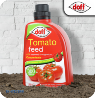 InExcess  Doff Liquid Tomato Feed Concentrate - 1 Litre