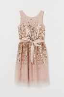 HM   Tulle dress with sequins