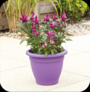 InExcess  27cm Essential Planters 5L - 5 Colours