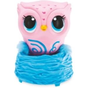 Owleez