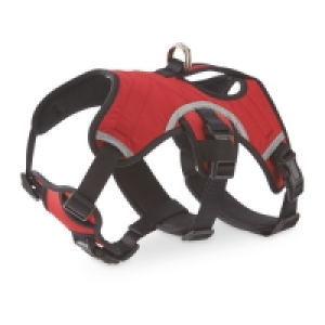 Red Adventure Dog Harness