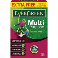 Wickes  Evergreen Multi Purpose Grass Seed - 480g