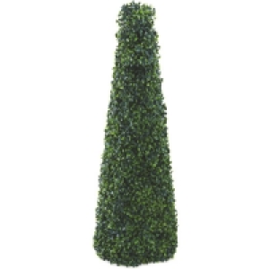 Aldi  Boxwood Obelisk Cone