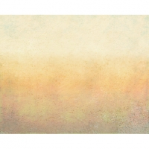 ohpopsi Antique Parchment Wall Mural - XL 3.5m (W) x 2.8m (H £80.00