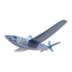 Eolo Real Flyer Shark