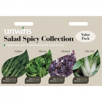 Wickes  Unwins Spicy Collection Salad Seeds