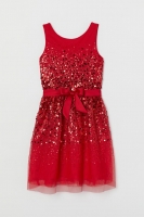 HM  Tulle dress with sequins