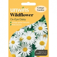 Wickes  Unwins Ox Eye Daisy Wildflower Seeds