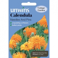 Wickes  Unwins Needles And Pins Calendula Seeds
