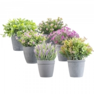 Lifestyle Indoor Artificial Plant Collection Small £3.49