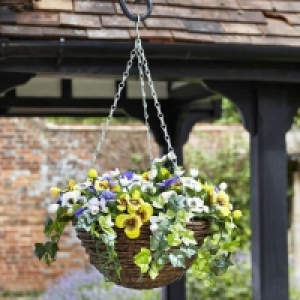 JTF  Easy Hanging Basket Pansies 12 Inch