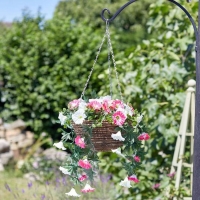 JTF  Easy Hanging Basket Summer Bloom 12 Inch