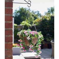 JTF  Easy Hanging Basket Star Gazing Lilies 12 Inch