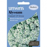 Wickes  Unwins Carpet Of Snow Alyssum Seeds