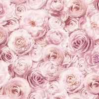 Wilko  Arthouse Wild Rose Blush Wallpaper