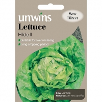 Wickes  Unwins Butterhead Hilde II Lettuce Seeds