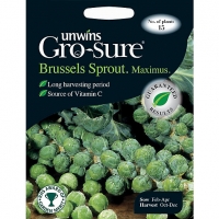 Wickes  Unwins Maximus F1 Brussels Sprout Seeds