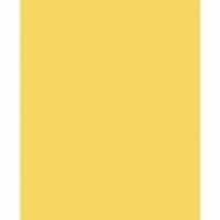 Wickes  Superfresco Easy Tany Plain Yellow Decorative Wallpaper - 10