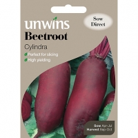 Wickes  Unwins Long Cylindra Beetroot Seeds