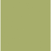 Wickes  Superfresco Easy Kia Vert Green Decorative Wallpaper - 10m