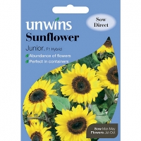 Wickes  Unwins Junior F1 Sunflower Seeds