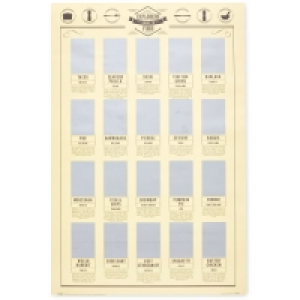 Food Scratch Poster