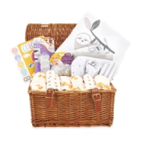 Woodland Animal Baby Hamper