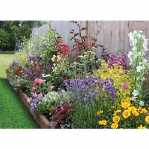 Garden on a Roll Wildlife Plant Border - 600mm x 5m