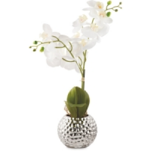 Kirkton House White Faux Orchid