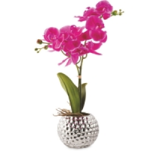 Kirkton House Pink Faux Orchid