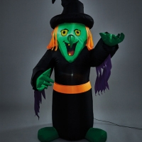 Aldi  1.2M Inflatable Witch