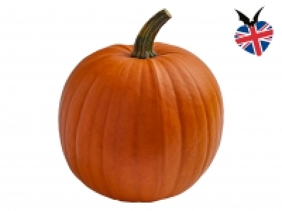 British Monster Pumpkin £1.99