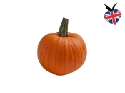 British Medium Pumpkin £0.79