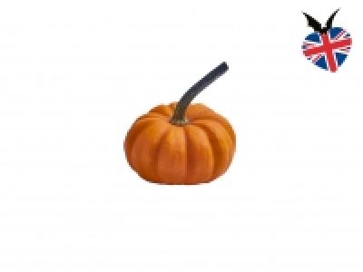 British Munchkin Pumpkin £0.49